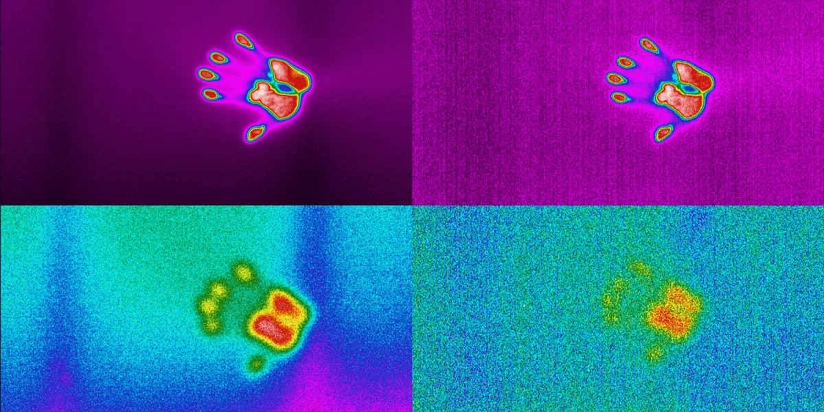 Thermal Sensitivity | GoThermal